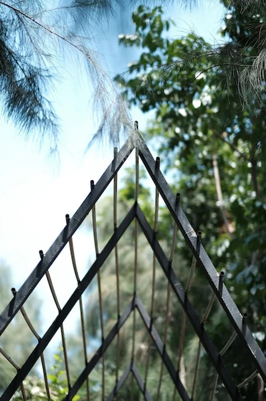 Metalowe ogrodzenie pod niskim kątem widoku